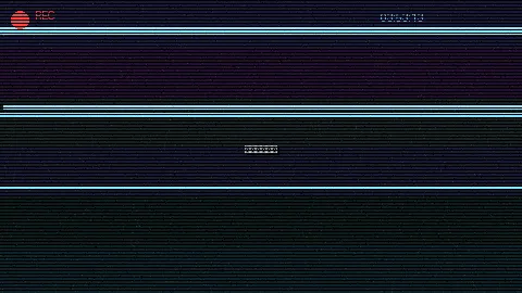 周末随拍记录 - 洗屋先生我是看守专用宠物有翻译 原创视频